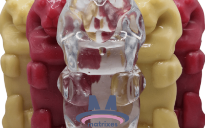 Discover the Unique Lion-Shaped Bottles from Matrixes